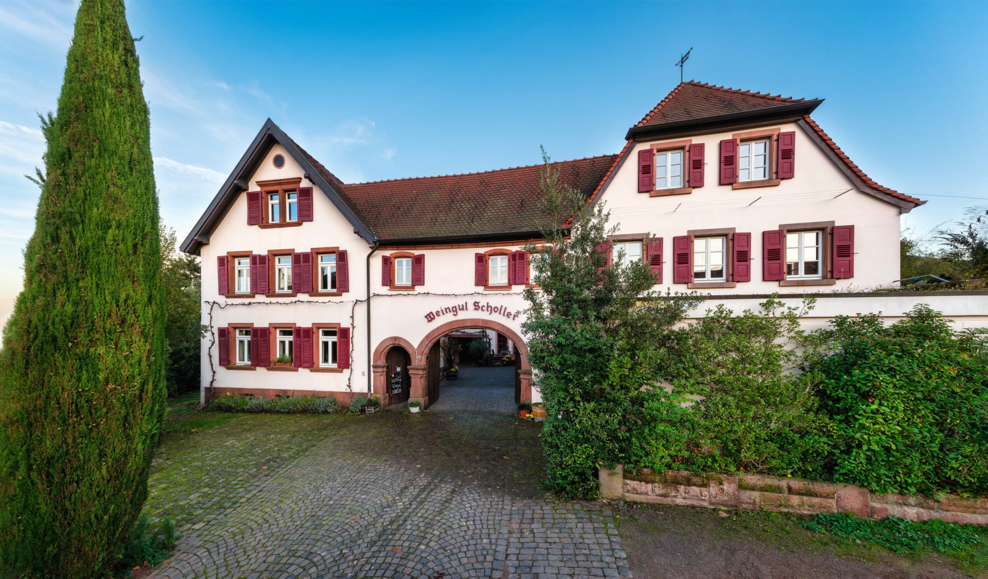 Bild - Jakob Scholler im Weinberg | © Biowein Jakob Scholler